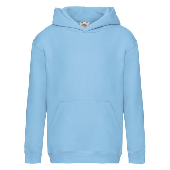 Fruit of the Loom Childrens/Kids Premium Hooded Sweatshirt (Sky Blue) - Image 1