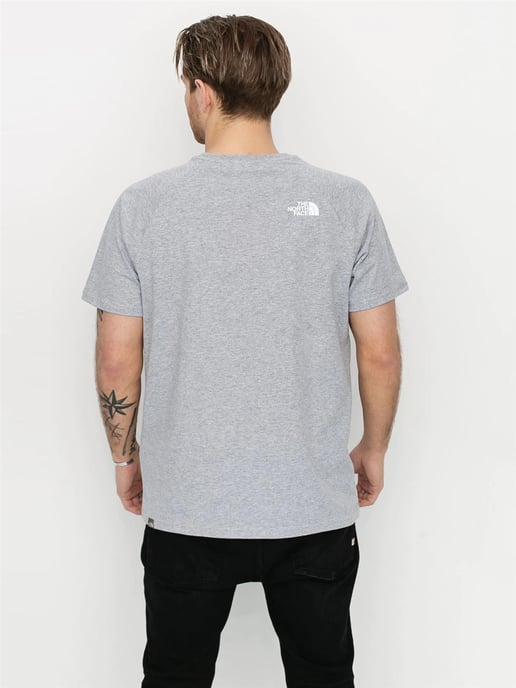 Camiseta The North Face Reglan Sleeve NSE Gris Hombre - Image 2