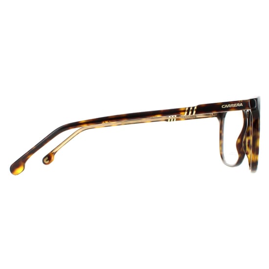 Carrera Square Mens Havana 1125