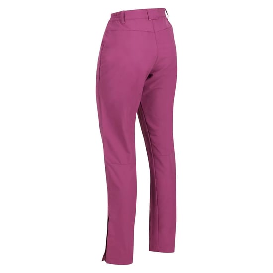 Regatta Womens/Ladies Questra IV Stretch Hiking Trousers (Amaranth Haze)
