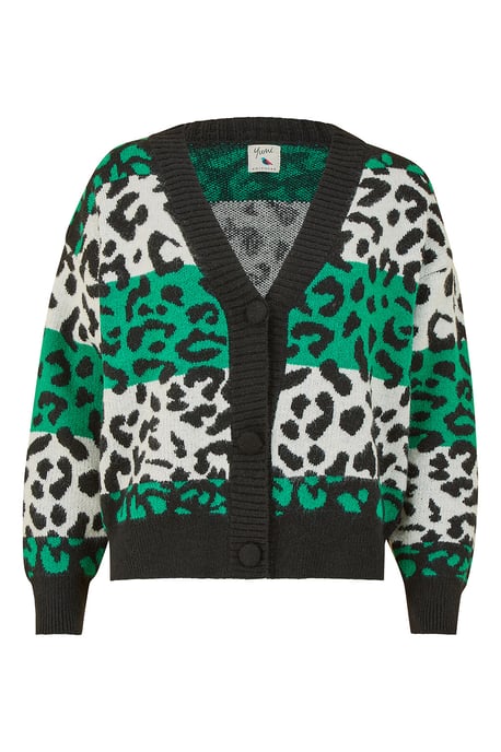Green Animal Stripe Intarsia Knitted Cardigan