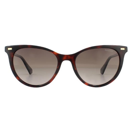 Polaroid Cat Eye Womens Havana Brown Gradient Polarized Sunglasses
