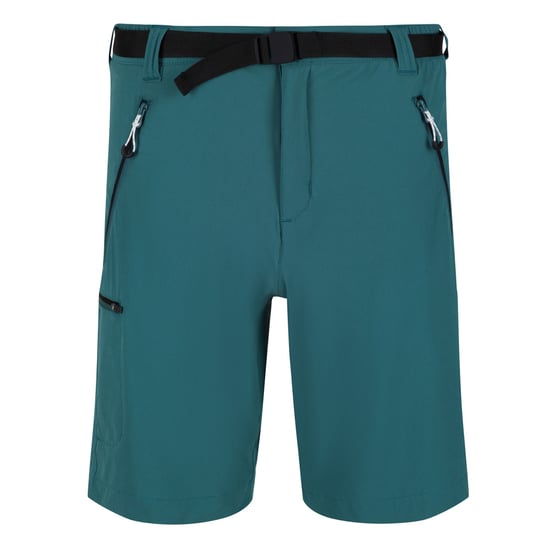 Regatta Mens Xert III Stretch Shorts (Pacific Green) - Image 1