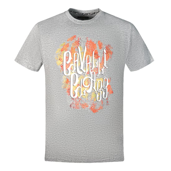 Camiseta Gris con Logo Audaz de Cavalli Class - Image 1