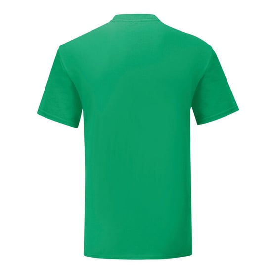 Fruit Of The Loom Mens Iconic 150 T-Shirt (Kelly Green) - Image 2