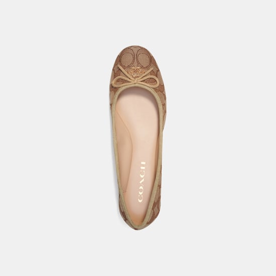 Alina Signature Ballet