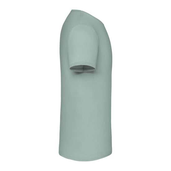 Fruit of the Loom Mens Iconic 150 T-Shirt (Sage) - Image 3