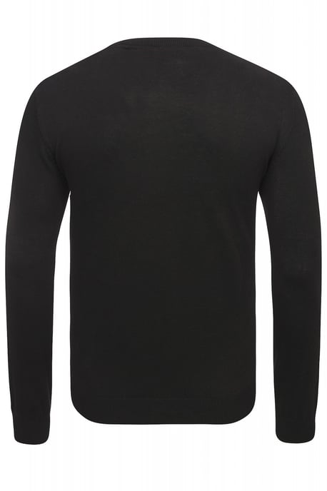 U.S. Polo Assn. V-Neck Pullover in Black