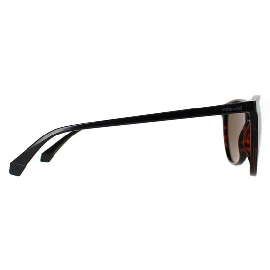 Polaroid Rectangle Unisex Dark Havana Bronze Polarized PLD 4152/S
