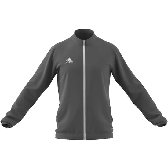 Sudadera Adidas Sport Ent22 Tegrfo Gris - Image 1