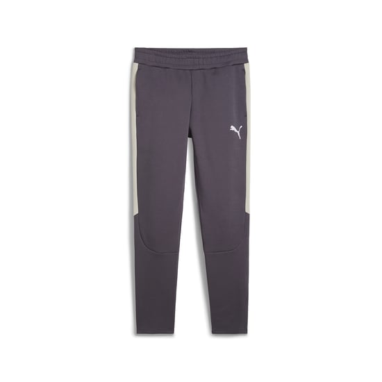 PUMA Mens EVOSTRIPE Pants