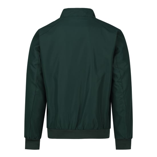 Men's Bomber Jacket with Stand-Up Collar, Transitional Jacket for Autumn, Casual Sports Jacket Green - Image 3
