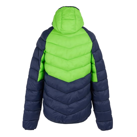 Regatta Mens Dalent Hooded Insulated Jacket (Green Flash/Navy)