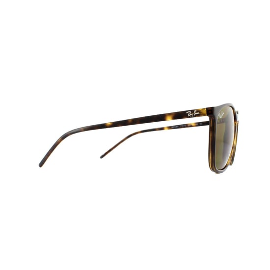 Ray-Ban Sunglasses RB4387 710/73 Tortoiseshell Brown
