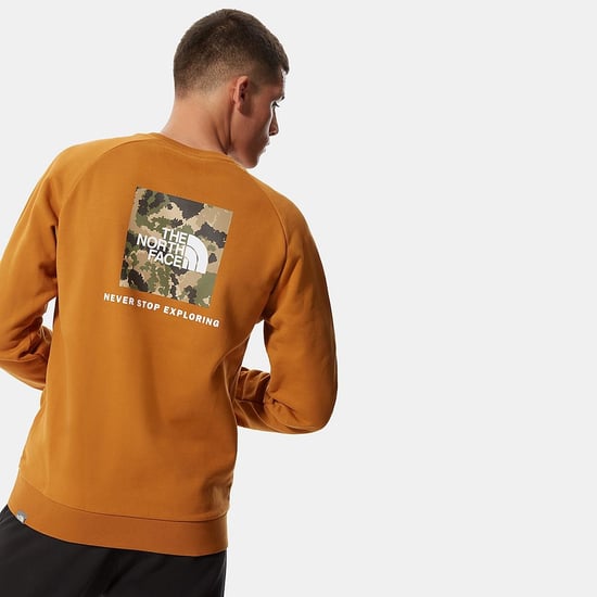 The North Face Raglan Back Box Sudadera con cuello redondo para hombre Bronceado - Image 2