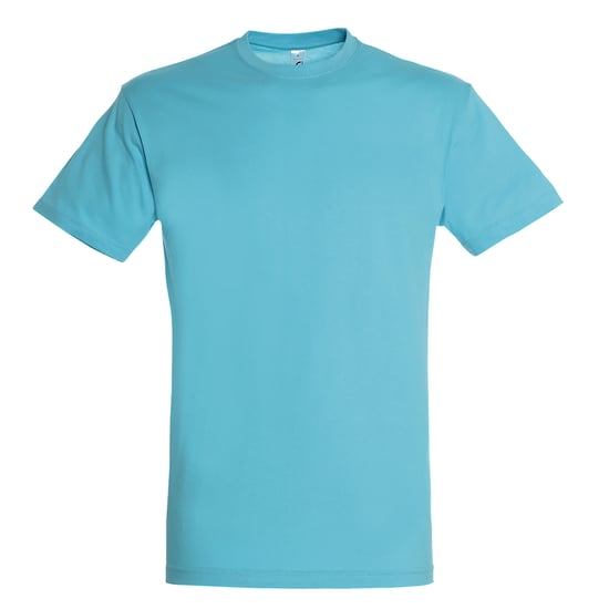 SOLS Mens Regent Short Sleeve T-Shirt (Aqua) - Image 1