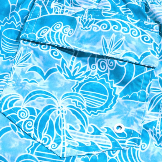 Boy's Speedo Printed 15 inch Swim Shorts in Blue-White
