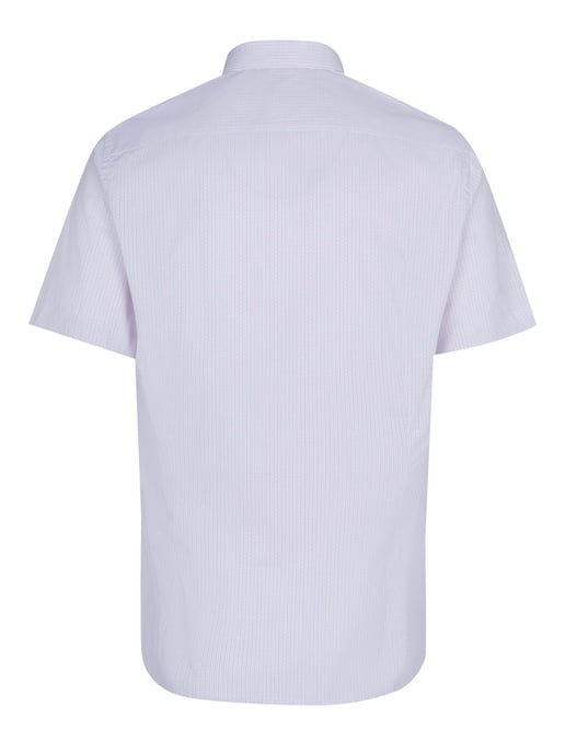 Camisa Pal Zileri - Image 2