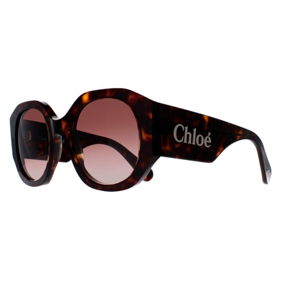 Chloe Round Womens Habana Oscuro Marrón Gradiente CH0234S - Image 2