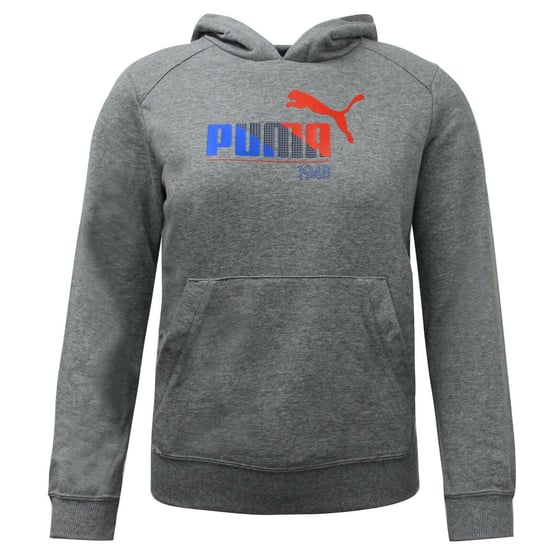 Puma TD Graphic Kids Grey Hoodie - Image 1