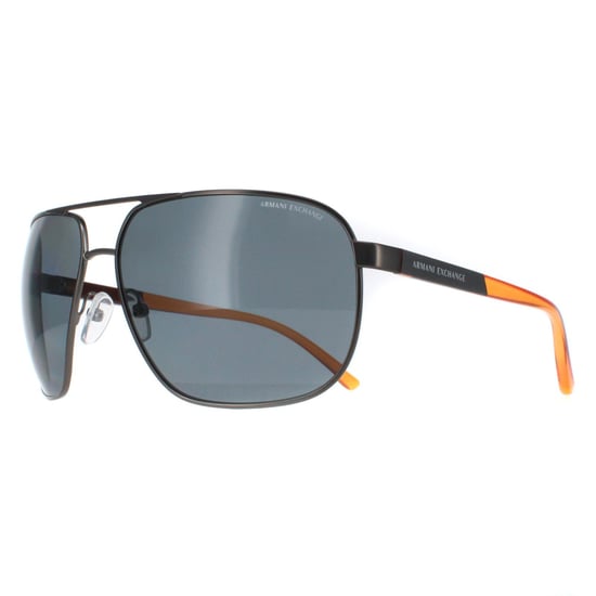 Armani Exchange Aviator Unisex Grey  Grey Polarized AX2040S