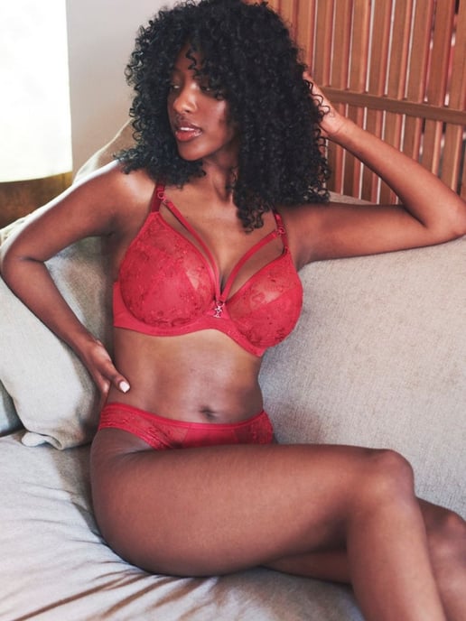 Panache Yasmin Plunge Bra  -  Ruby
