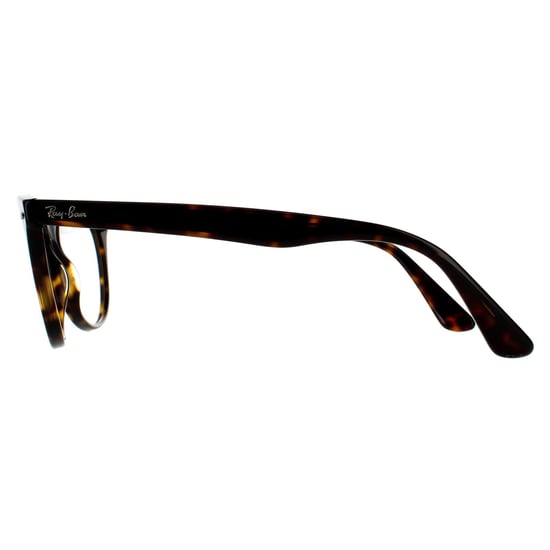 Ray-Ban Round Mens Havana Glasses Frames