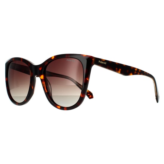 Polaroid Square Womens Havana Brown Gradient Polarized Sunglasses