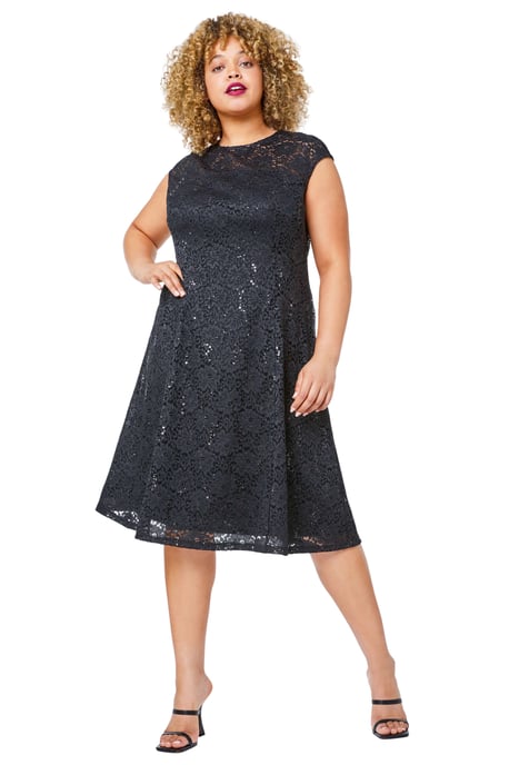 Sequin Lace Fit and Flare Dress