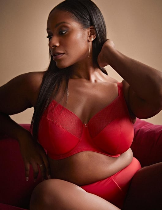 Sculptresse by Panache Bliss Deep Brief