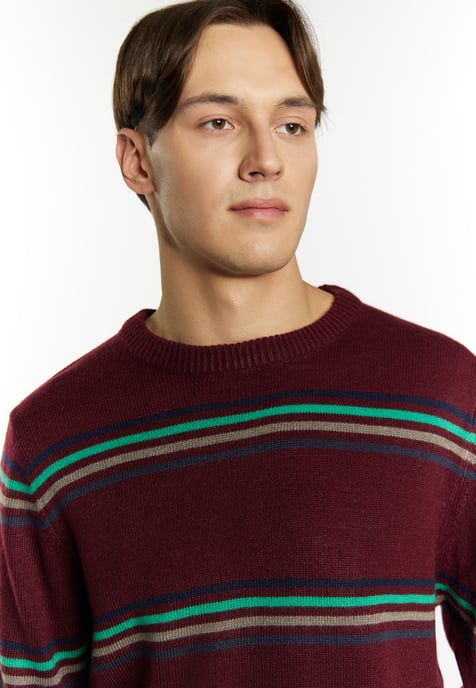 Mo Pullover Men - Image 5