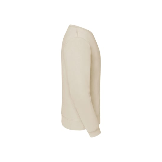 Fruit Of The Loom Mens Set-In Belcoro® Yarn Sweatshirt (Natural) - Image 3