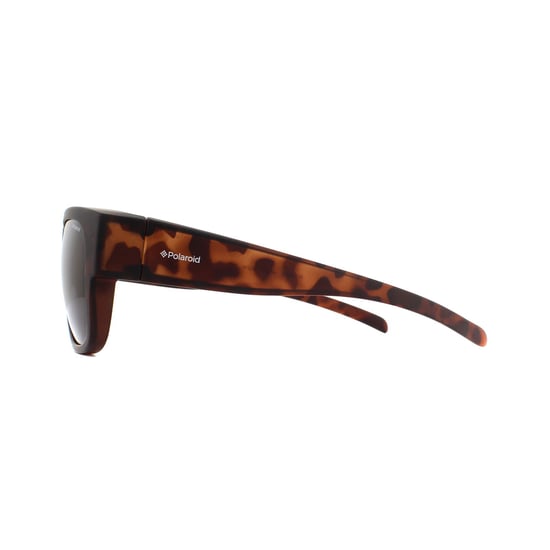 Polaroid Suncovers Square Unisex Havana Brown Polarized Sunglasses