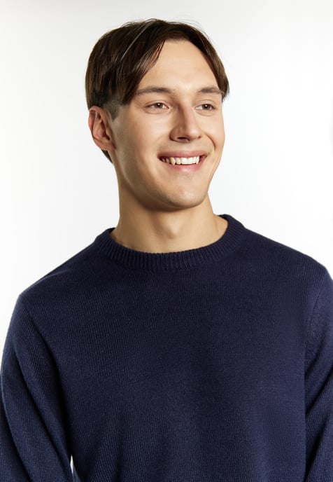 Mo Pullover Men blue - Image 5