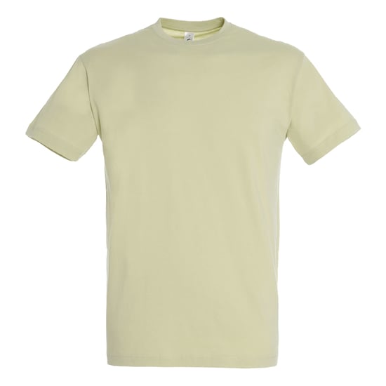SOLS Unisex Adult Regent T-Shirt (Sage Green) - Image 1
