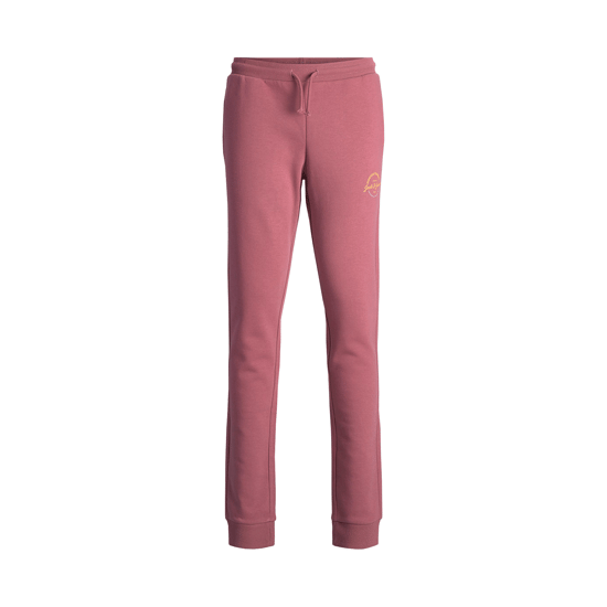 Jack & Jones Junior Logo Sweat Pants In 2Pk