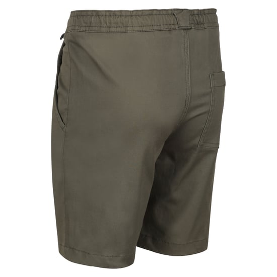 Regatta Childrens/Kids Alber Ottoman Shorts (Grape Leaf)