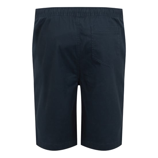 Regatta Mens Aldan Chino Shorts (Navy) - Image 2