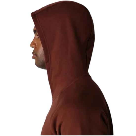 The North Face Mens Raglan Red Box Pullover Hoodie Brown