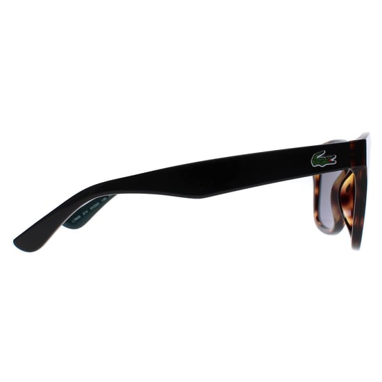 Lacoste Square Unisex Havana  Grey L789S