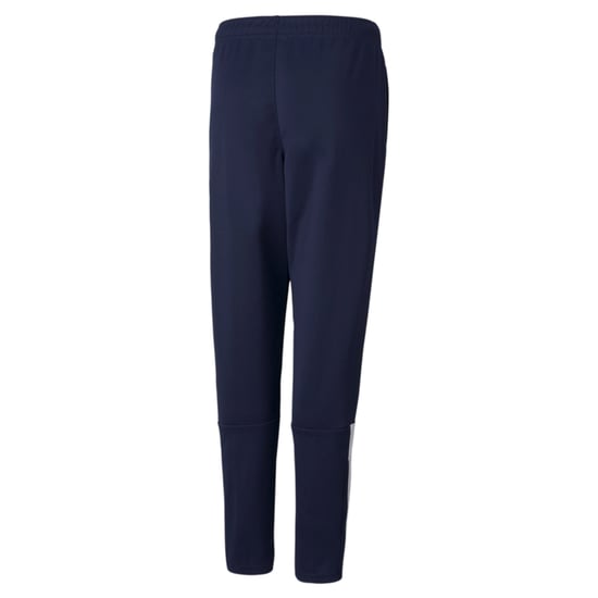 PUMA teamLIGA Training Youth Football Pants