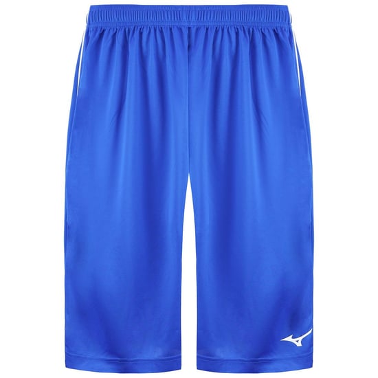 Mizuno Authentic BB Mens Blue Shorts