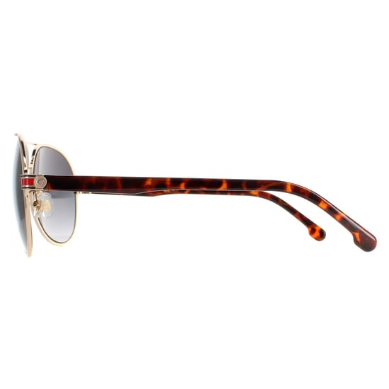Carrera Aviator Unisex Gold Havana Dark Grey Gradient 1051/S