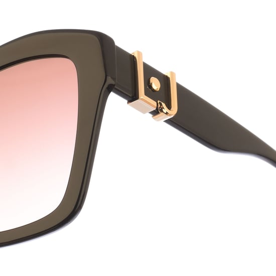 Butterfly-shaped acetate sunglasses LJ754SCH women