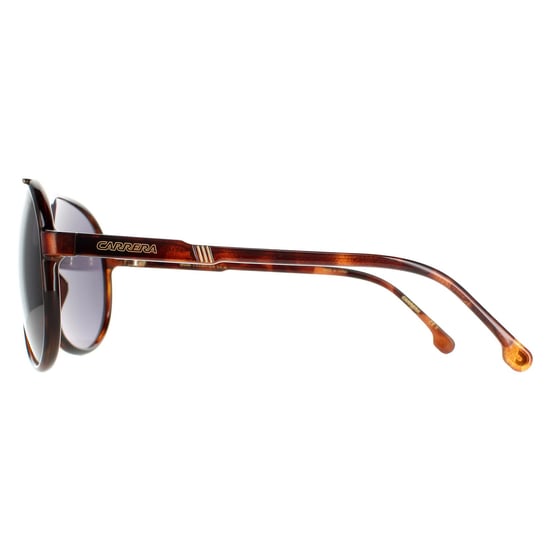 Carrera Aviator Mens Havana Grey CHAMPION65/N