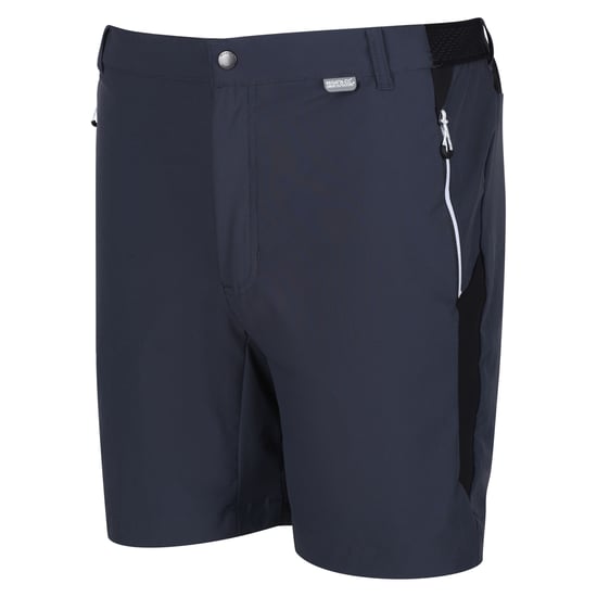 Regatta Mens Mountain II Shorts (India Grey/Black)