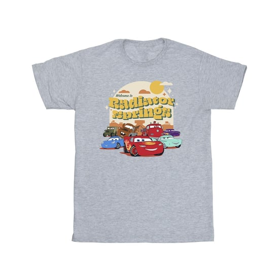Disney Mens Cars Radiator Springs Group T-Shirt (Sports Grey)