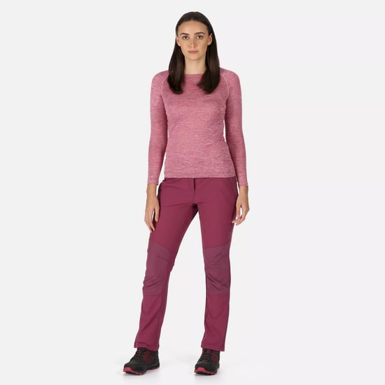Regatta Womens/Ladies Questra IV Stretch Hiking Trousers (Amaranth Haze)