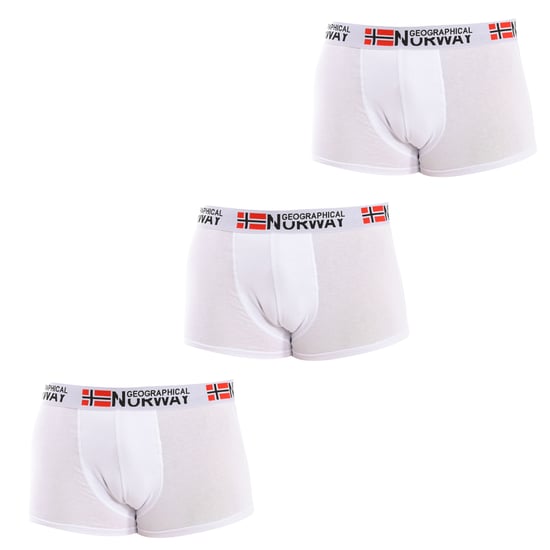 Pack-3 Boxers Geographical Norway man