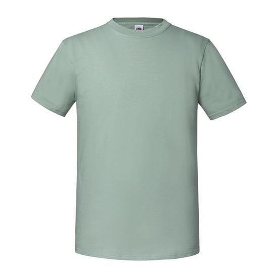 Fruit Of The Loom Mens Iconic 195 Ringspun Premium Tshirt (Sage) - Image 1